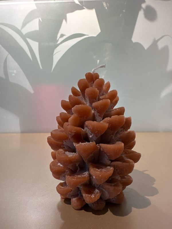 Dennenappel kaars bruin 12 cm