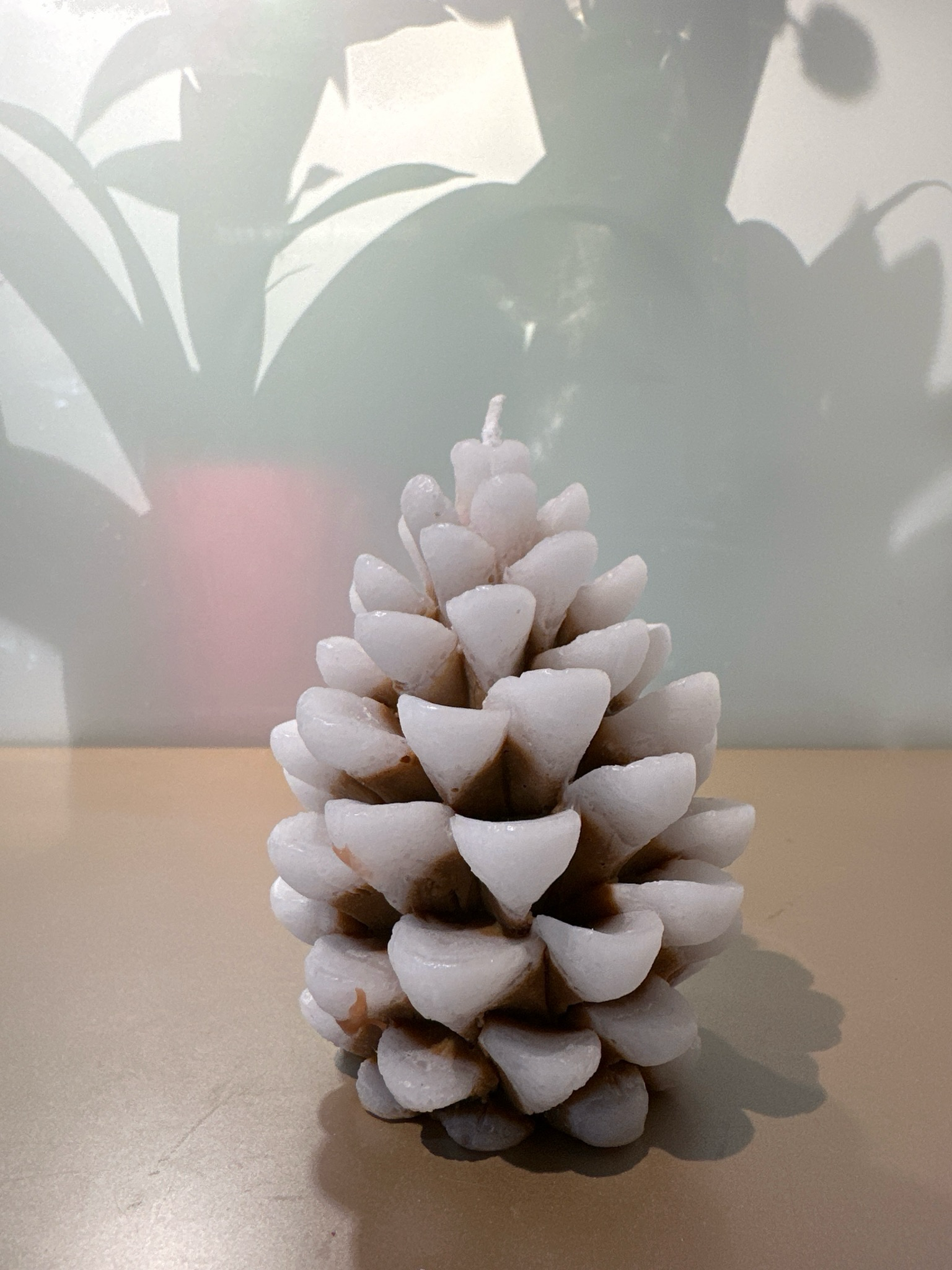 Dennenappel kaars Wit 12 cm