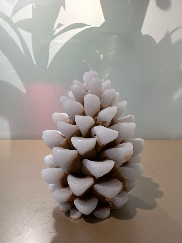 Dennenappel kaars Wit 12 cm