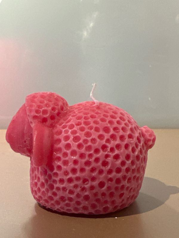 Schaap Roze kaars