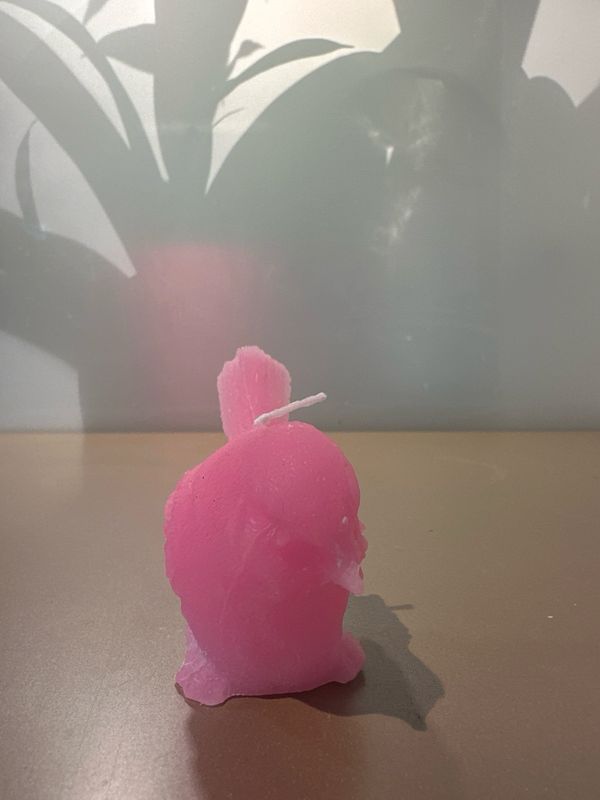 Vogel kaars Roze