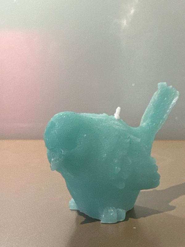 Vogelkaars Turquoise 6 cm