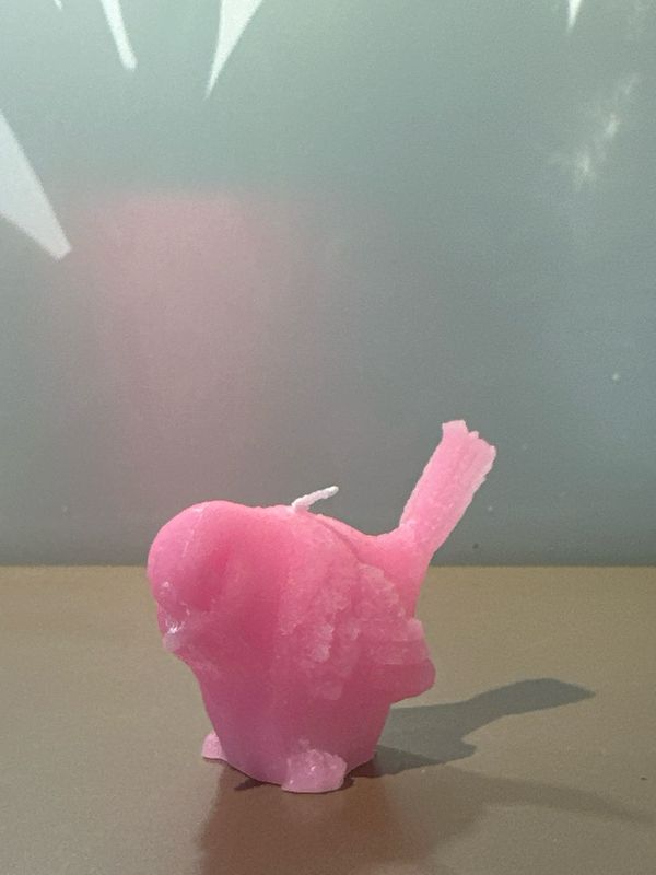 Vogelkaars Roze 6 cm
