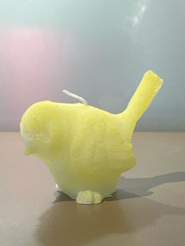 Vogelkaars Geel 6 cm