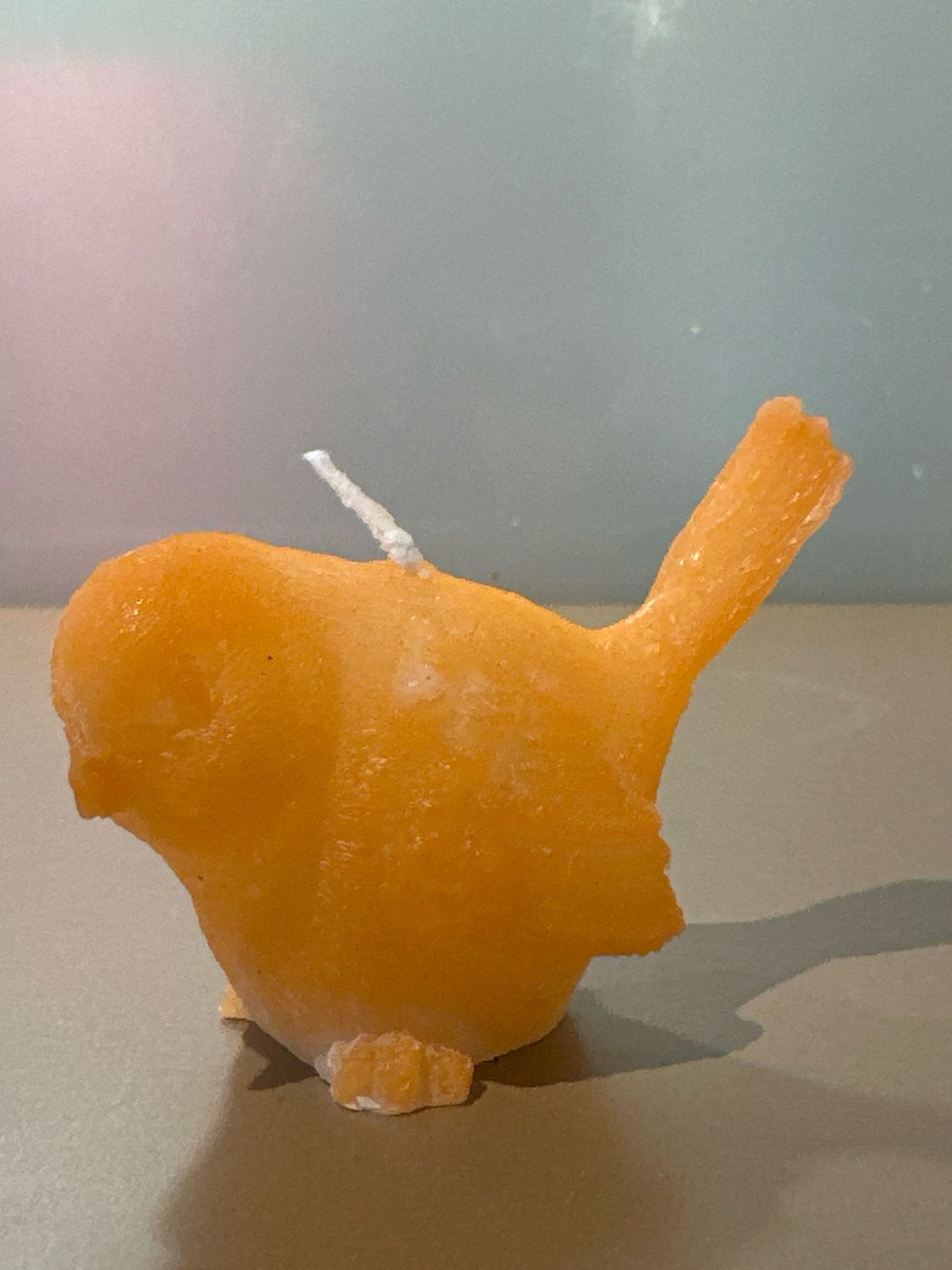Vogelkaars Oranje 6 cm