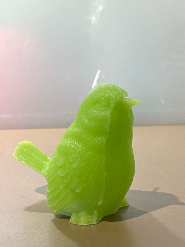 Vogelkaars Groen 6 cm