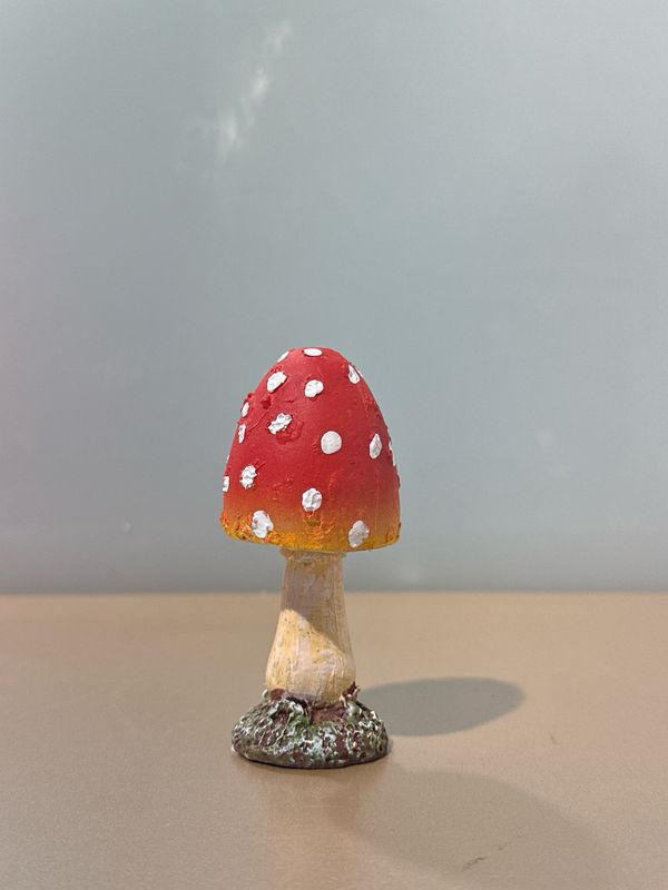 Vliegenzwam / 8 cm
