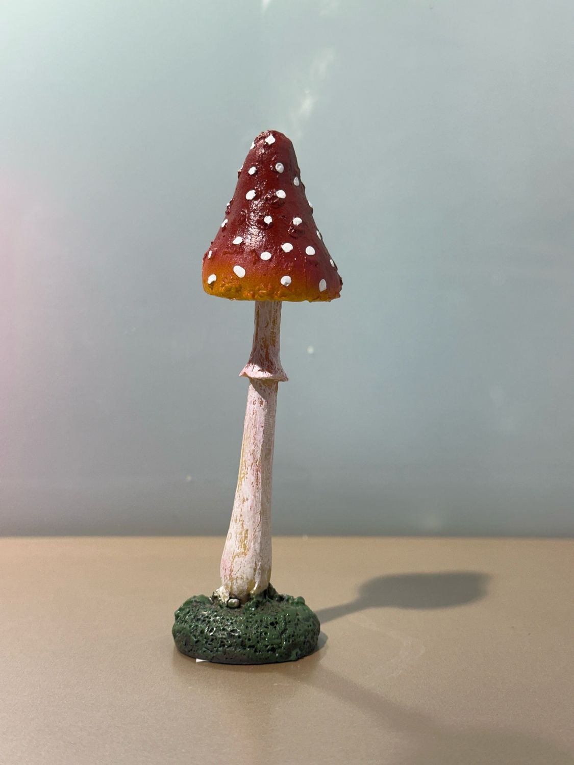 Vliegenzwam / 13 cm