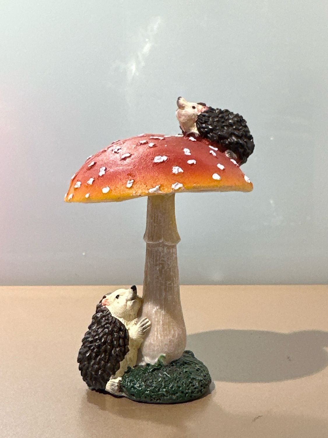 Vliegenzwam Egel / 11 cn
