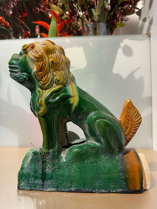Asiatisch leeuw / 28 cm