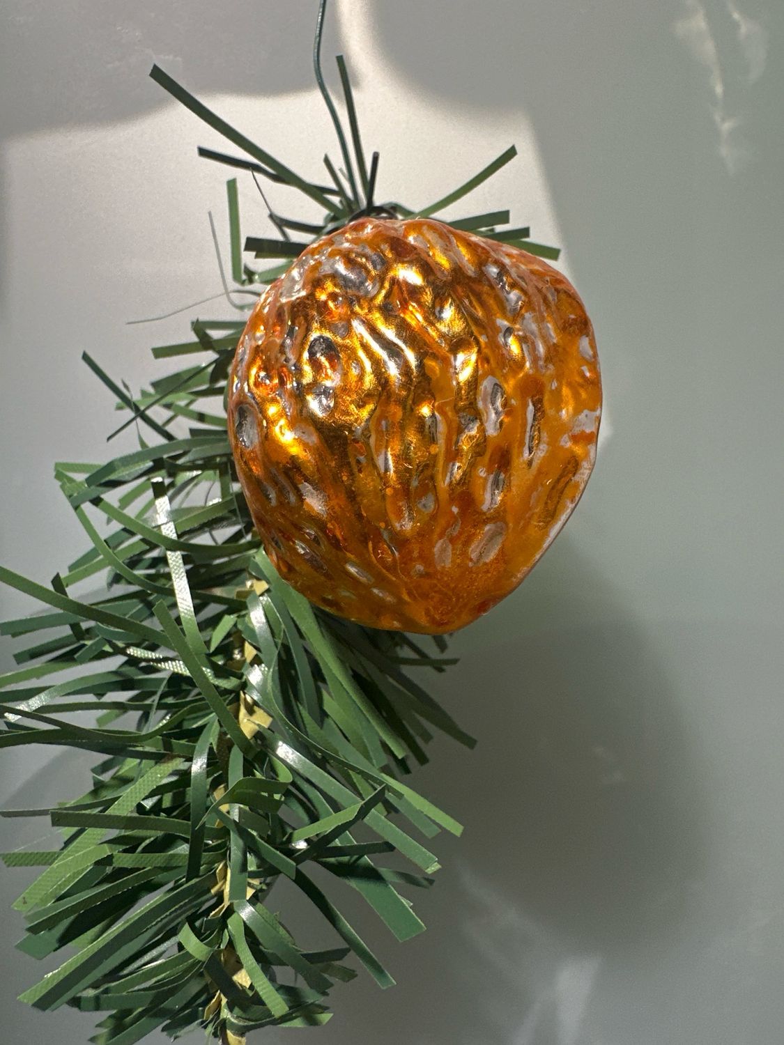 Walnoot / 6 cm