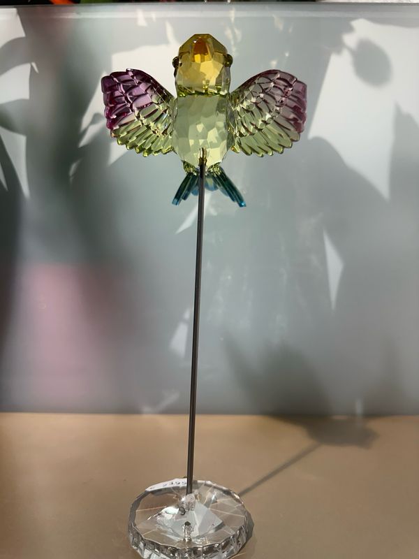 Merel rood / 24 cm
