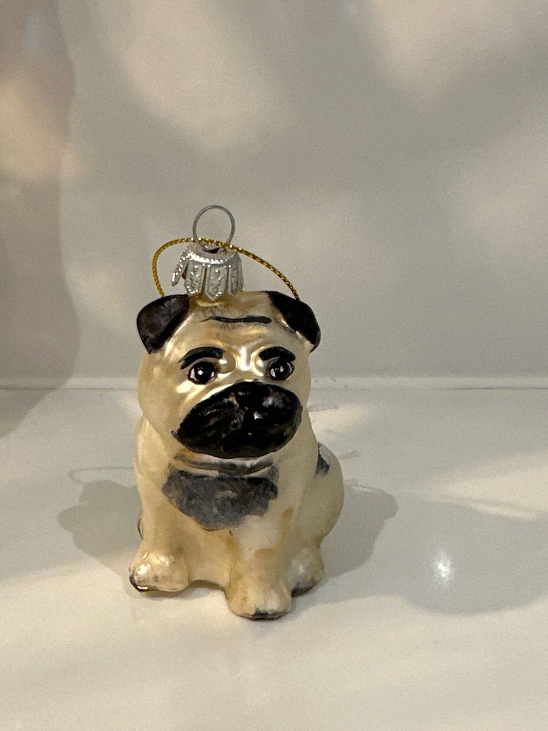 Bulldog / cm
