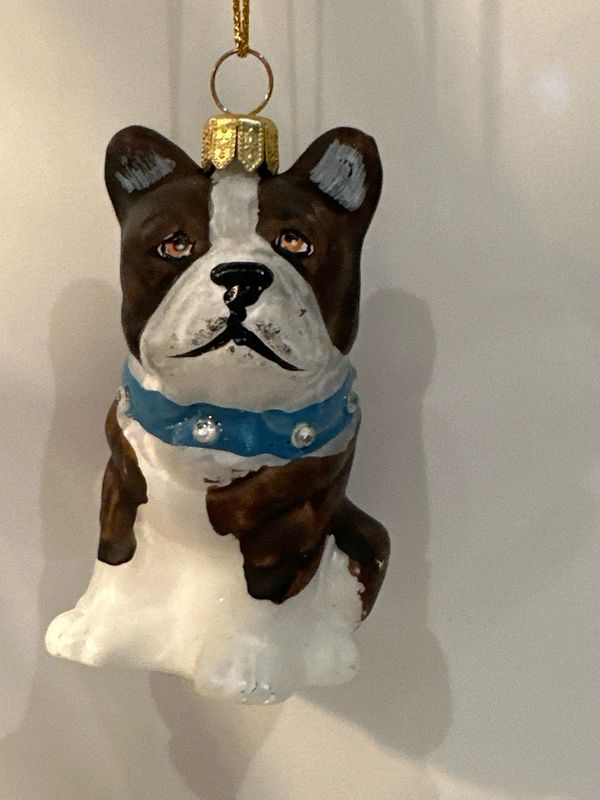 Bulldog / 9 cm