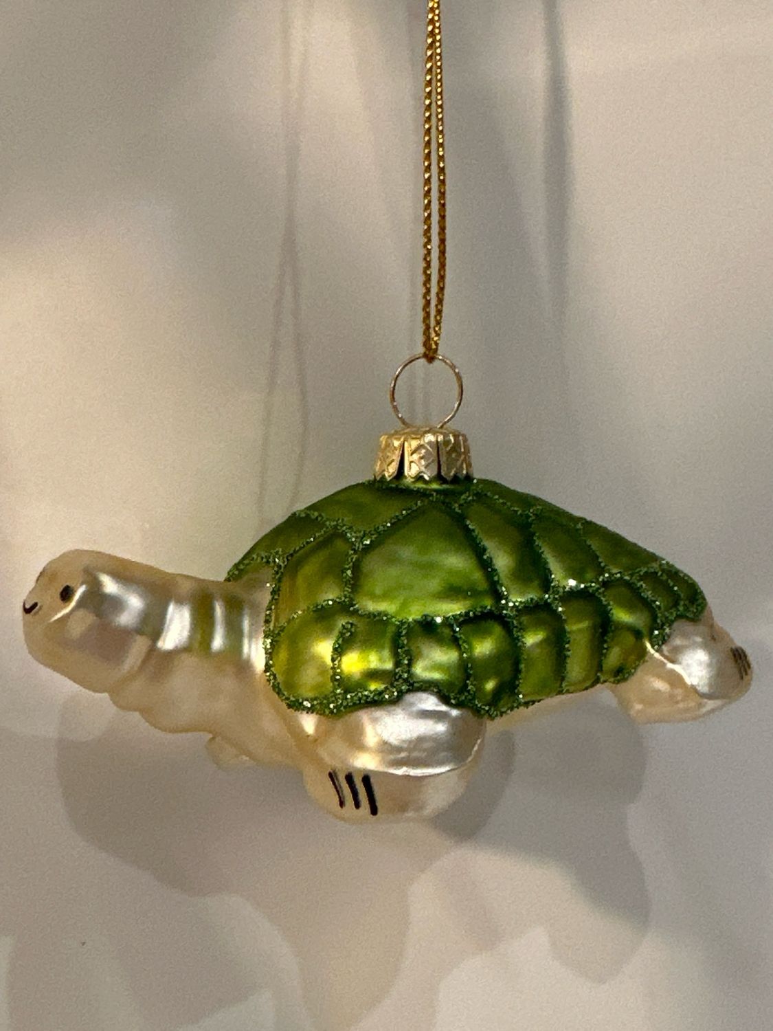 Schilpad / 4 cm