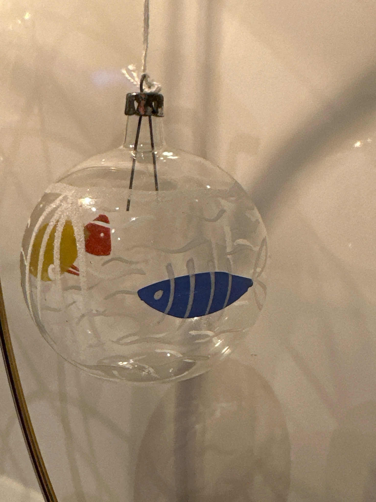 Transparante visbal / jr 60 / 8 cm