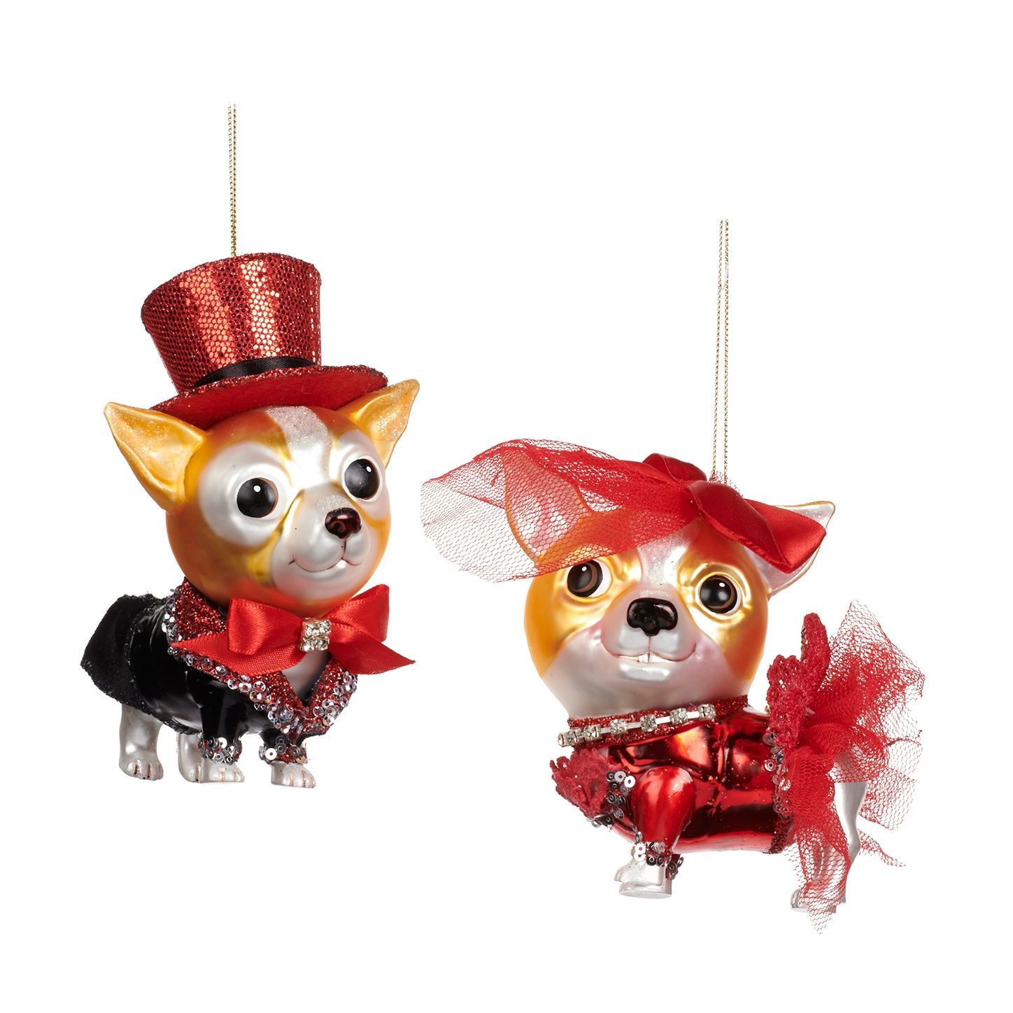 Fancy dressed up dog