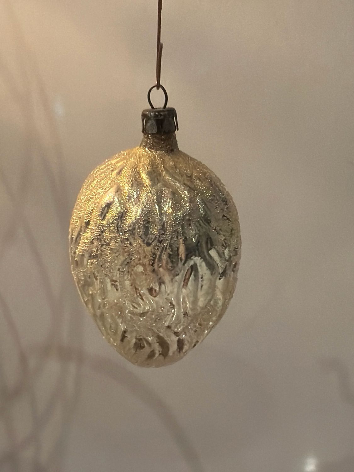 Walnoot / jr 50 / 7 cm