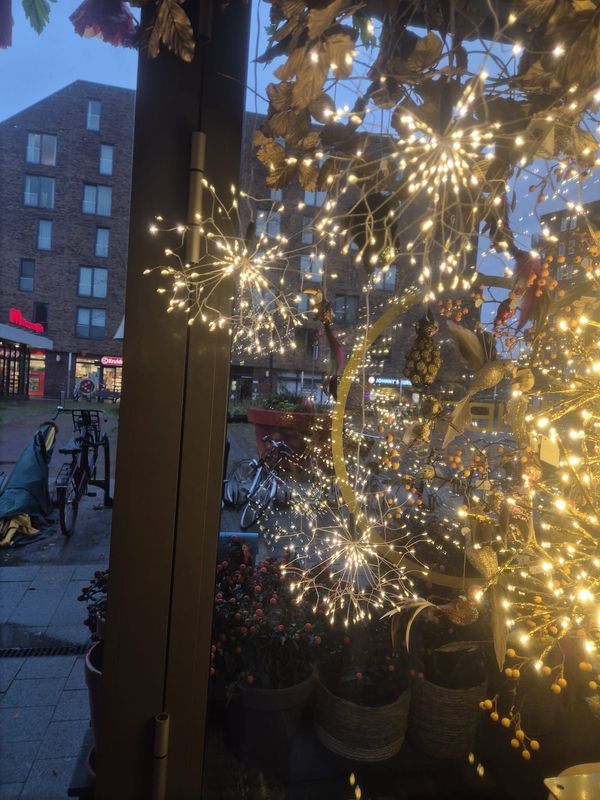 Paardenbloem lampjes