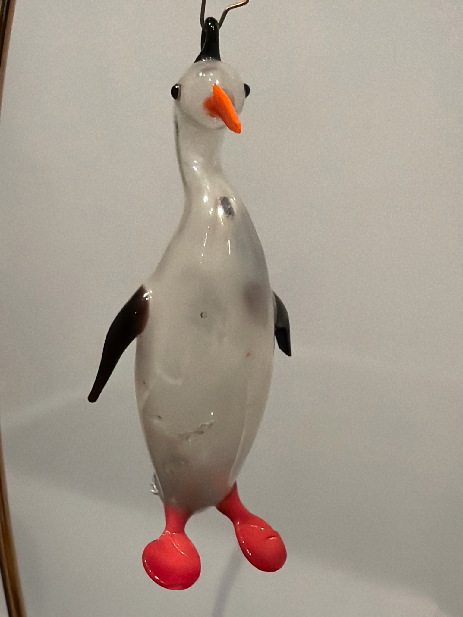 Pinguïn rode voet / jr 50