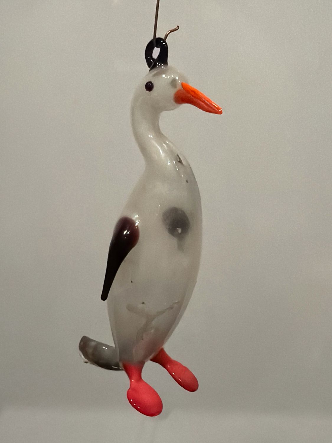 Pinguïn rode voet / jr 50