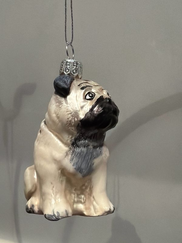 Mops hond
