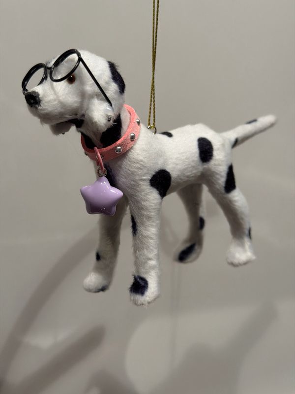 Dalmatiërs