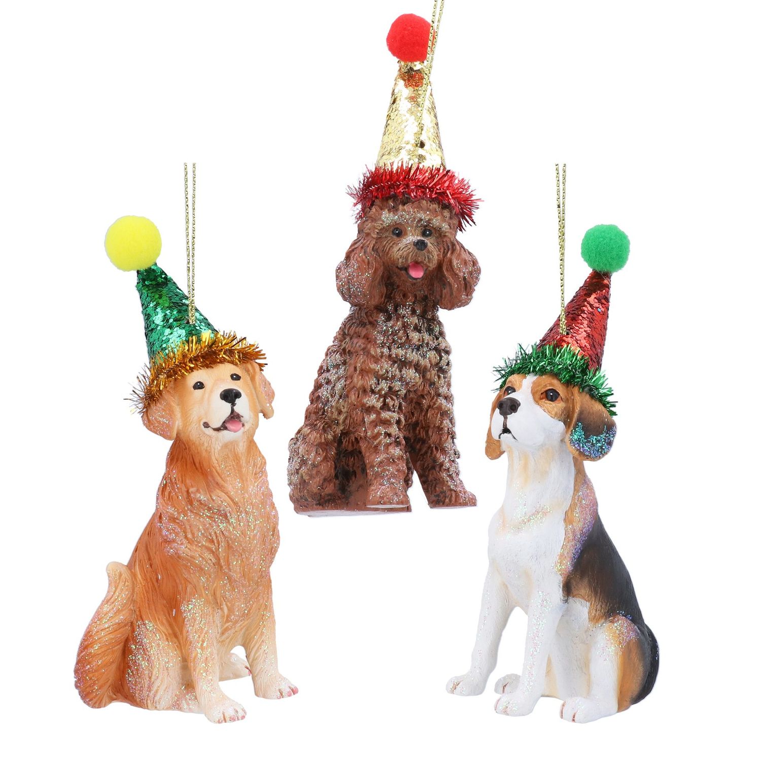 Party dogs