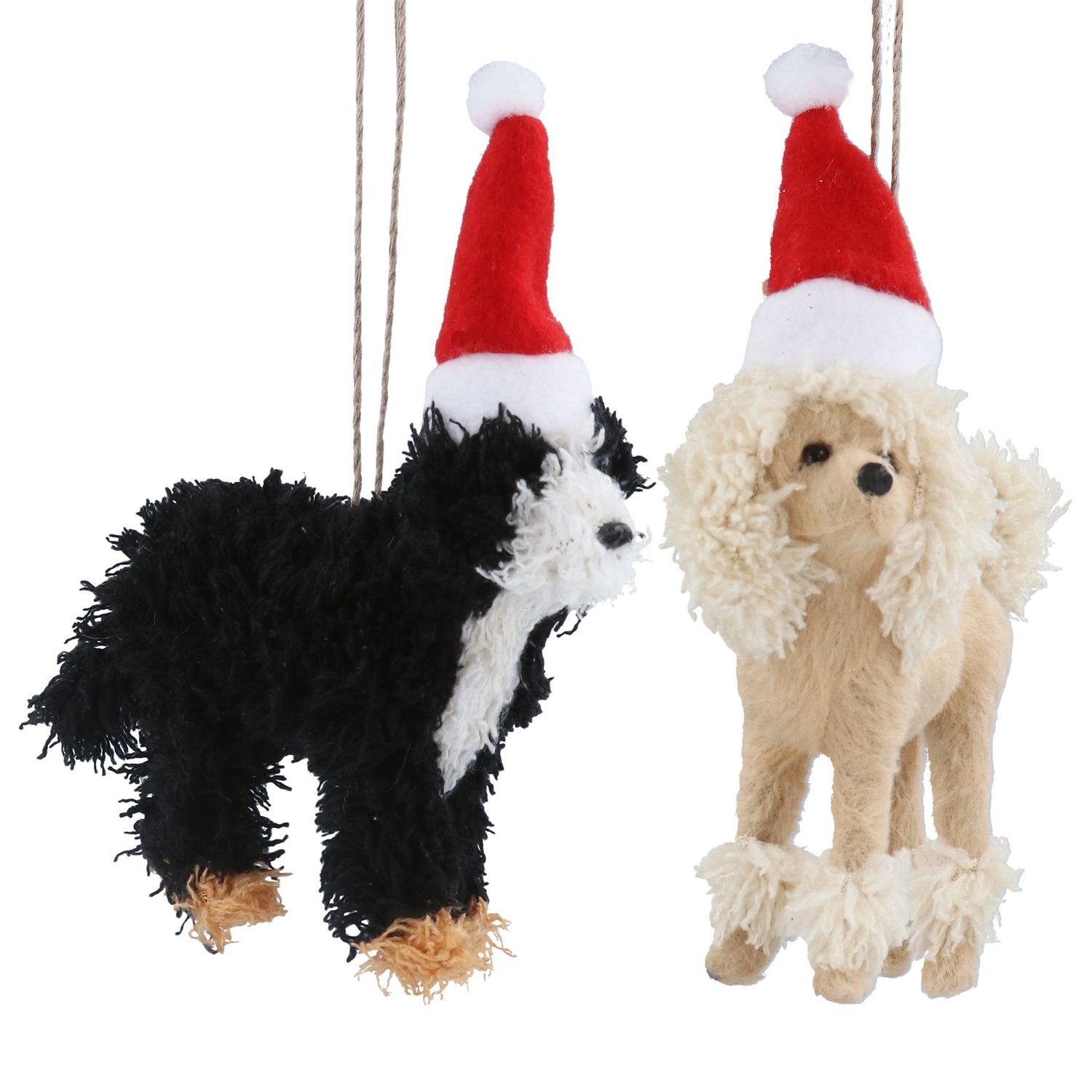 Hond met kerstmuts