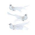 Glitter/veren vogel