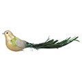 Gouden vogel met groene staart