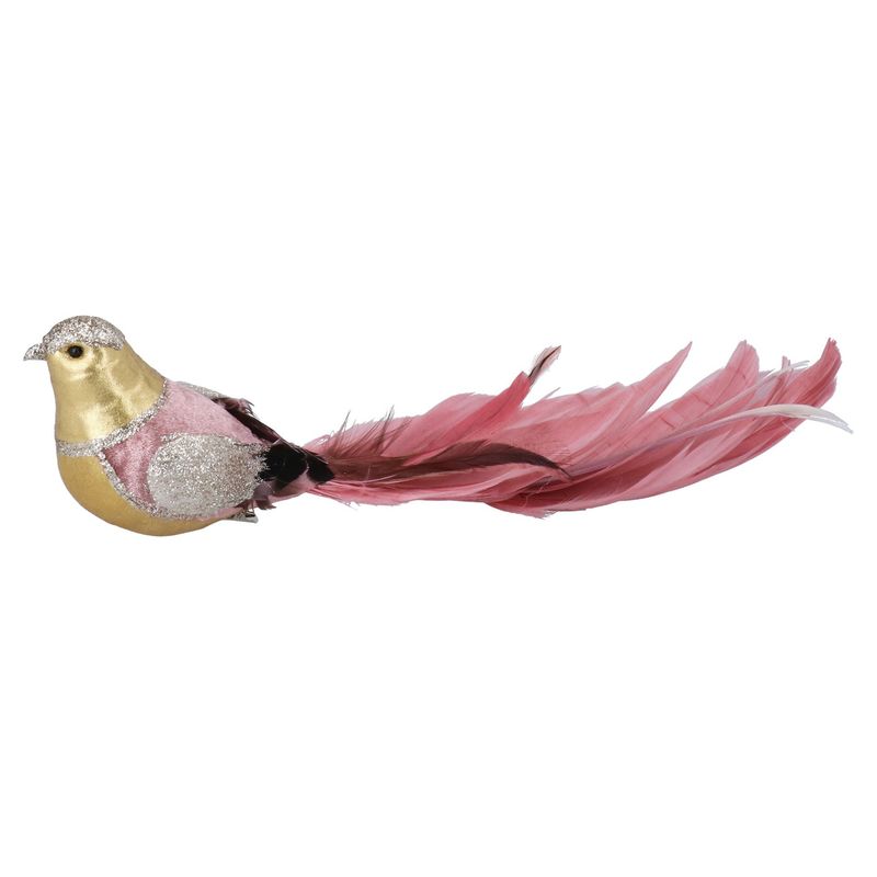 Vogel Goud met roze staart