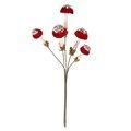Tak  Rood/Gouden Paddenstoel