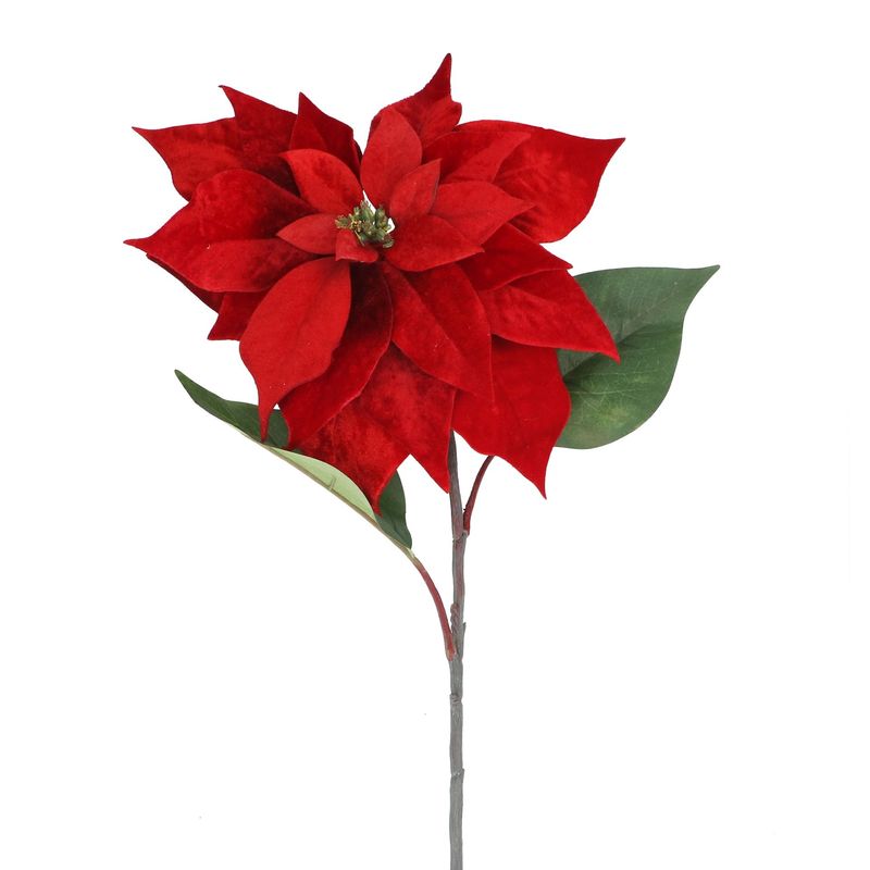 ​Rode poinsettia-stengel