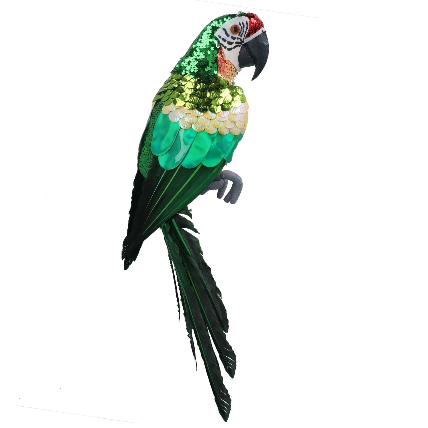 Groene Papegaai