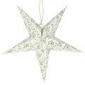 Ster Wit met mistletoe