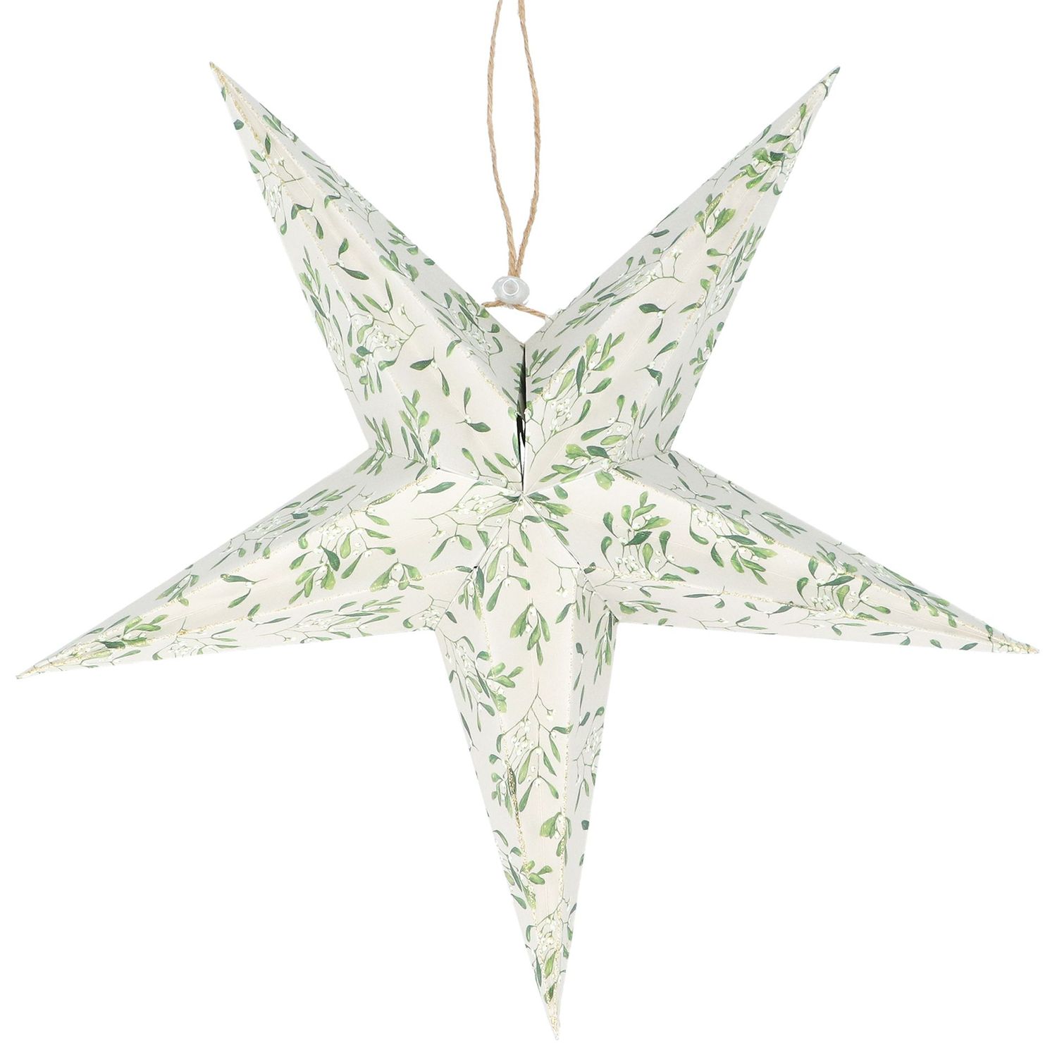 Ster Wit met mistletoe