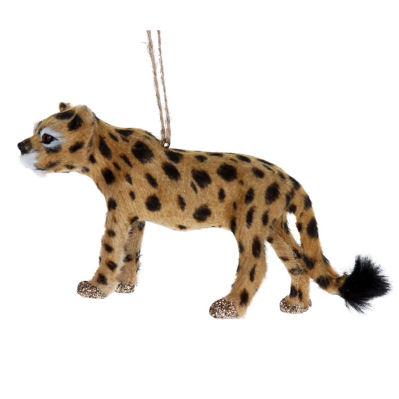 Cheetah