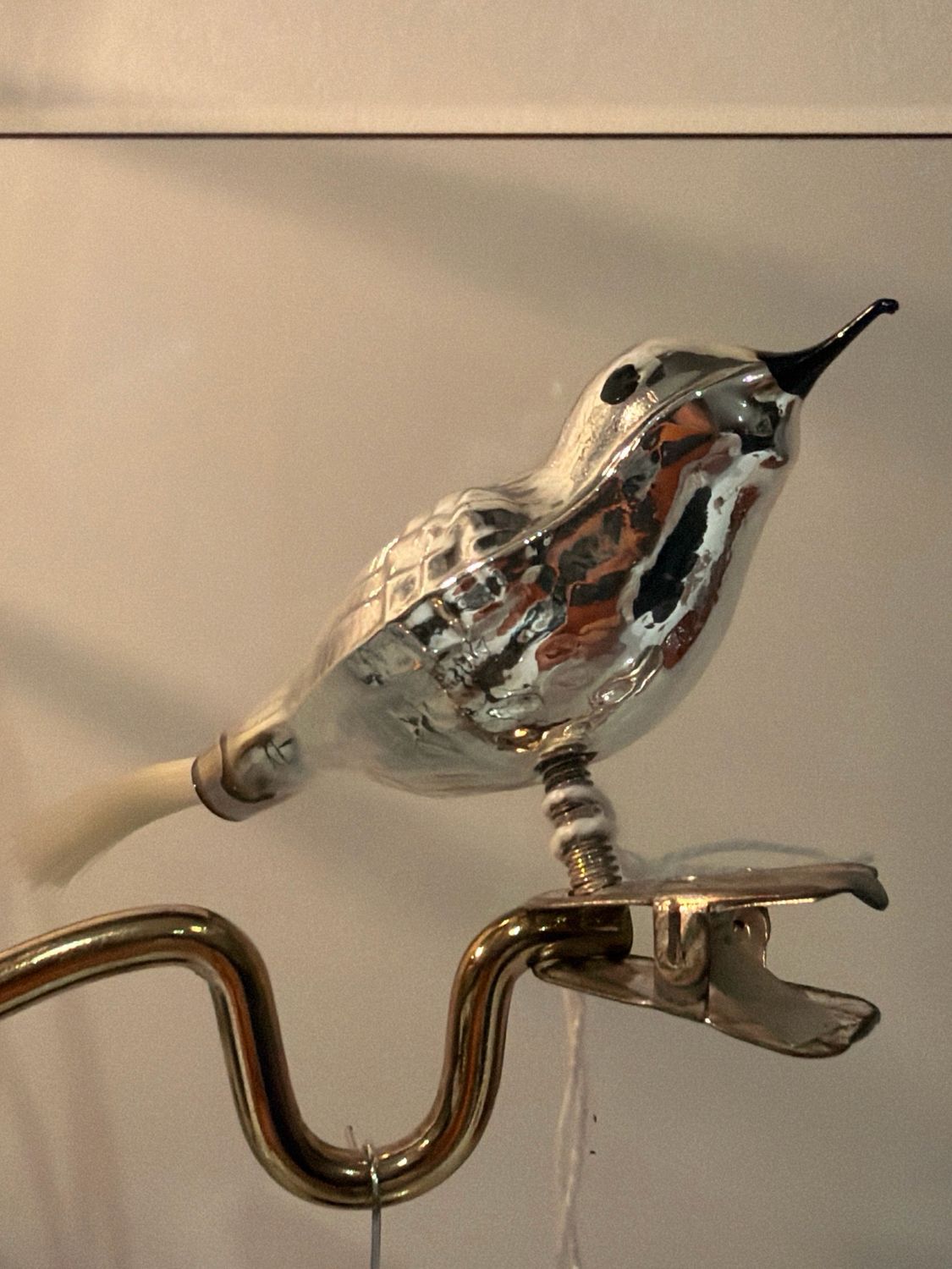 Vogel zwarte snavel / jr 60