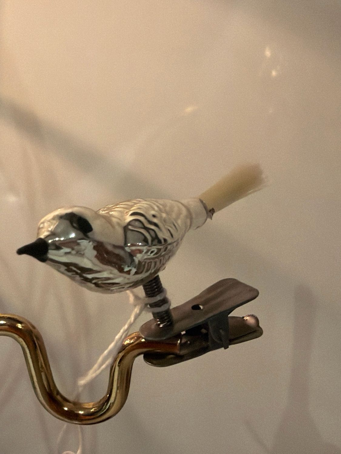Kleine vogel zwarte snavel / jr 60