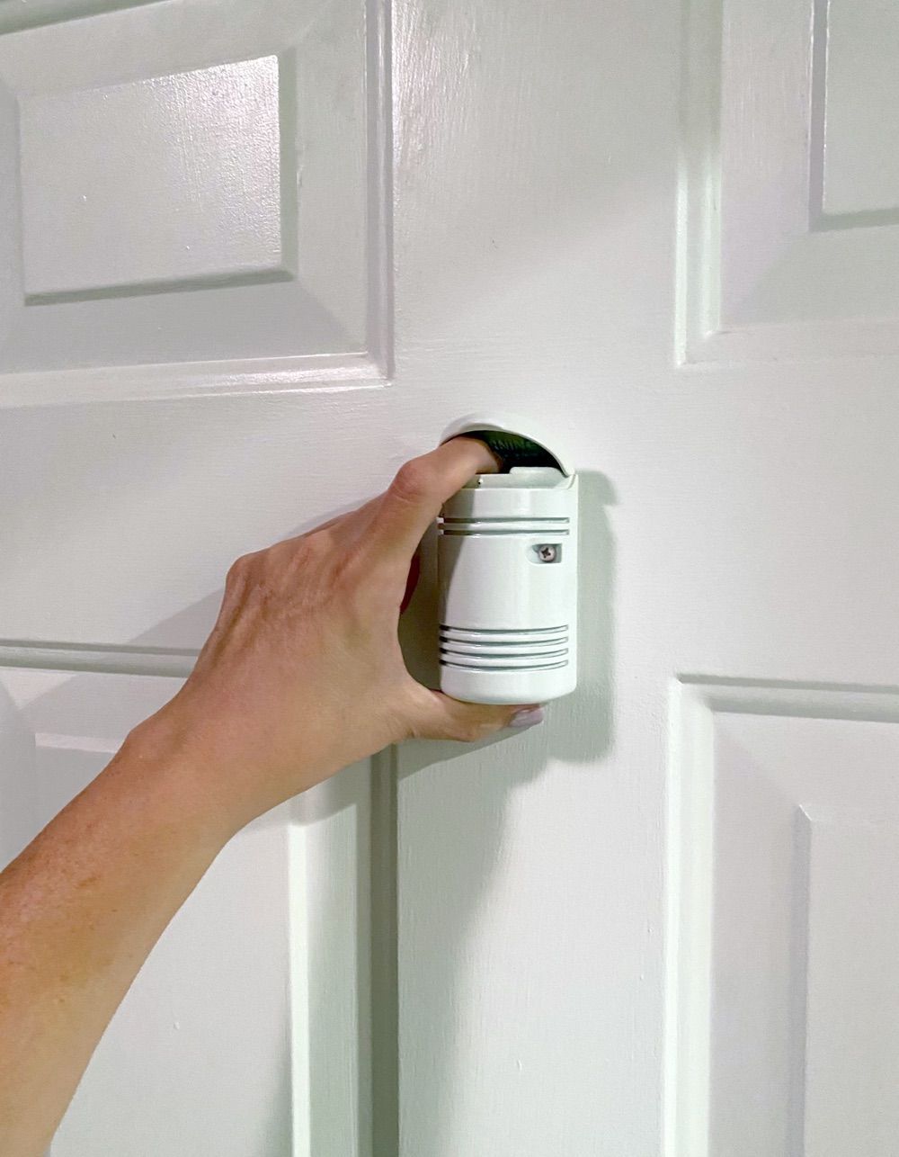 HOME DEFENDER Door-Mounted Pepper Spray System