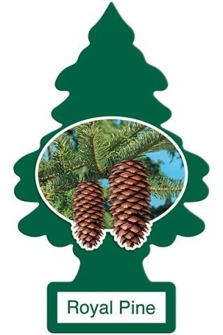 Little Trees Royal Pine 24pc