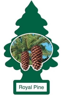 Little Trees Royal Pine 24pc