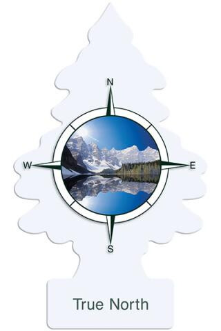 Little Trees True North 24pc