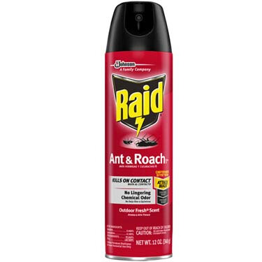 Raid Ant &amp; Roach Killer Out Fresh 12/12oz