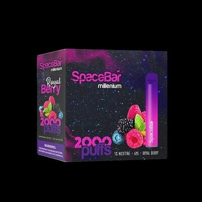 SpaceB 2000 Royal Berry