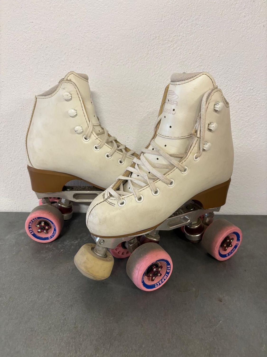 Patins nº 34 (Sílvia Auladell)