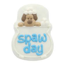 Bosco &amp; Roxy Spaw Day Cookie