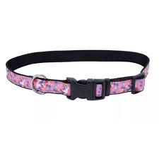 COASTAL - Exclusive Styles Collar - 1&quot; x 14-20&quot; - Unicorns