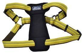 COASTAL K9 Explorer Harness - 12 - 18&quot; - Fern